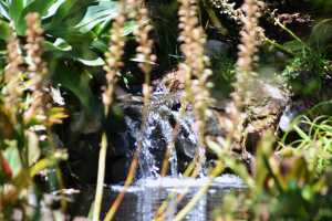 carrick hill 2014 (69)